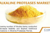 Alkaline Proteases Market
