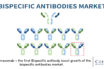 Bispecific Antibodies Market