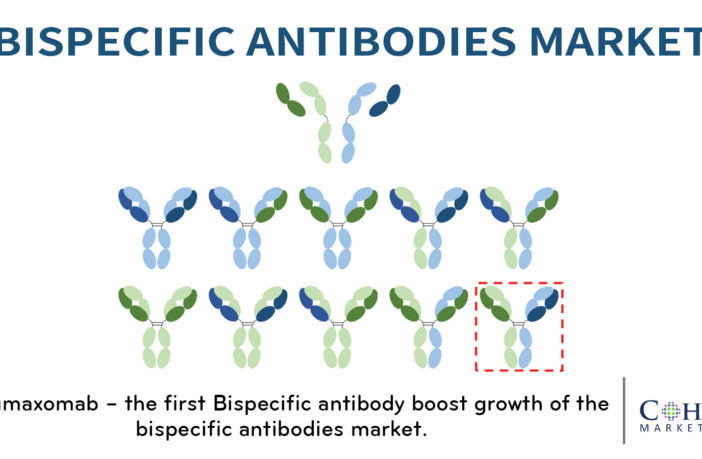 Bispecific Antibodies Market